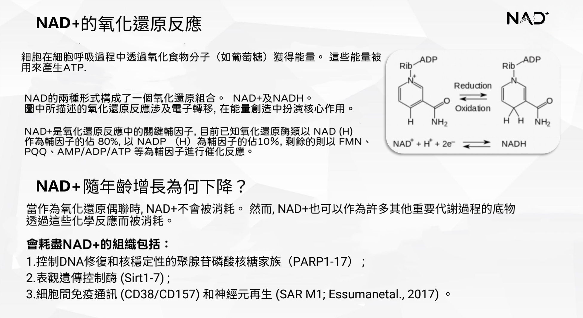 NAD⁺ 是什麼