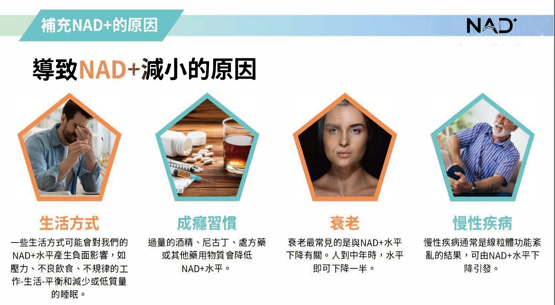 NAD⁺ 隨年齡下降