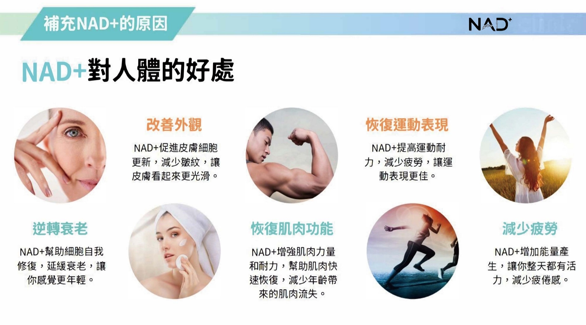 NAD⁺ 更多好處
