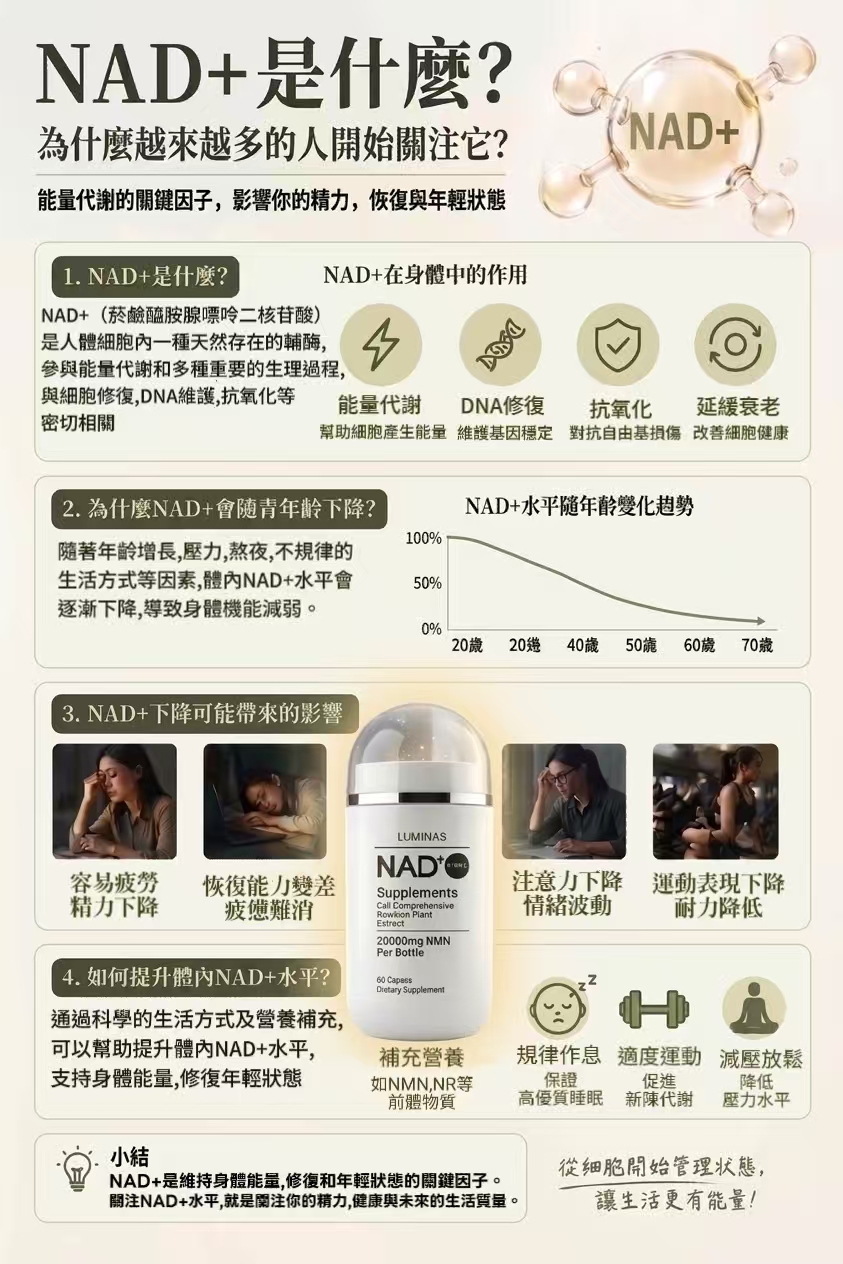 NAD⁺ 是什麼？能量代謝的關鍵因子